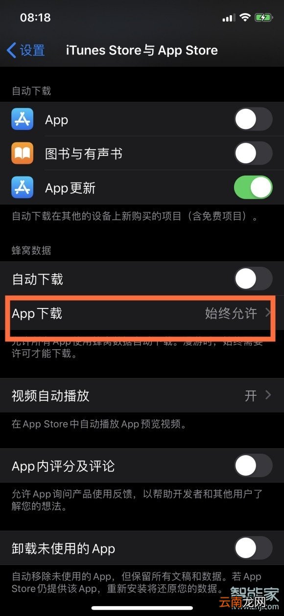 苹果怎么解除流量设置