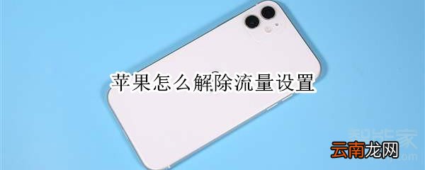 苹果怎么解除流量设置