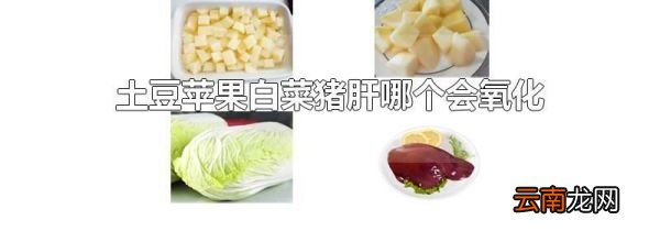 土豆苹果白菜猪肝哪个会氧化