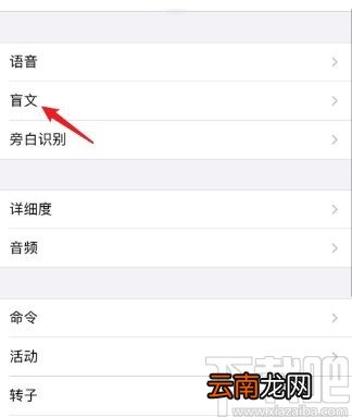 苹果手机设置盲文模式的方法