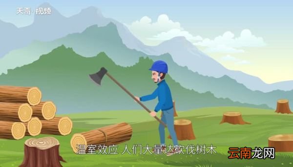 一次性筷子的危害 使用一次性筷子的危害有哪些
