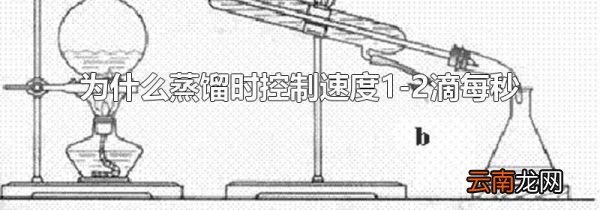 为什么蒸馏时控制速度1-2滴每秒