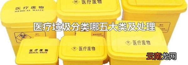 医疗垃圾分类哪五大类及处理