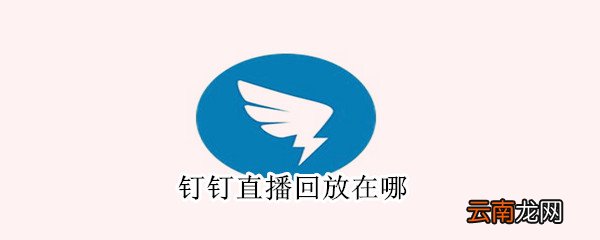 钉钉直播回放在哪
