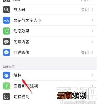 iPhone11设置轻点背面截屏的方法