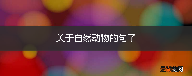 关于自然动物的句子
