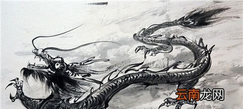 吉肖哪几个生肖？