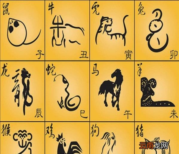 吉肖哪几个生肖？