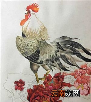 吉肖哪几个生肖？