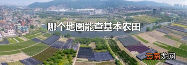 哪个地图能查基本农田