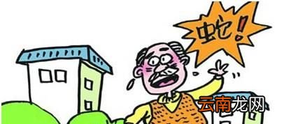 被毒蛇咬伤后能不能让同伴吸出毒液？