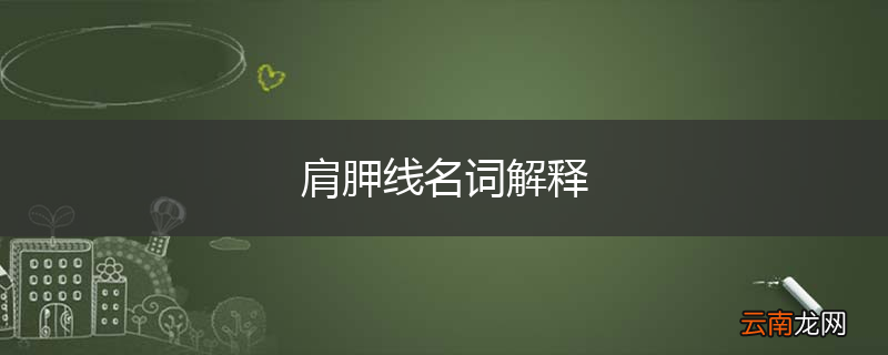 肩胛线名词解释