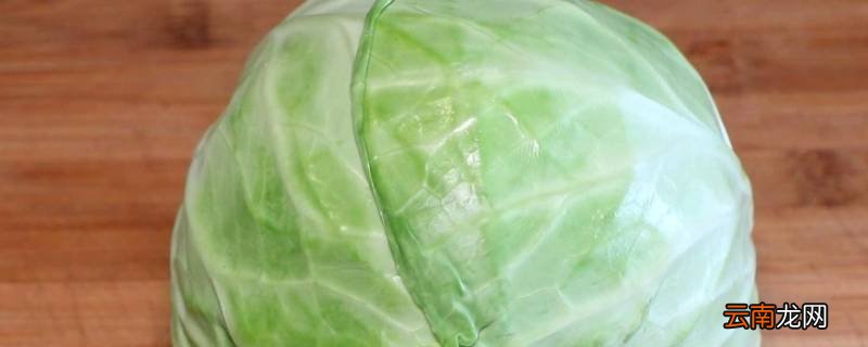 花白是什么菜