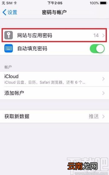 苹果手机删除网站和应用密码的方法