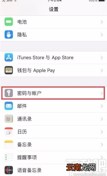 苹果手机删除网站和应用密码的方法