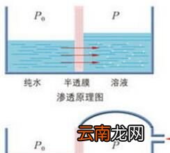 怎样把海水变成淡水？