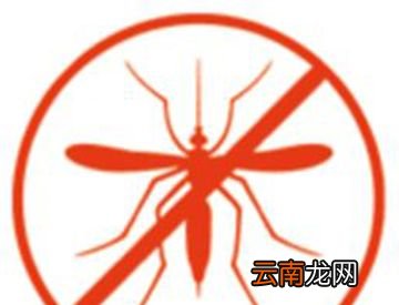 维生素B1水溶液可以驱蚊吗？