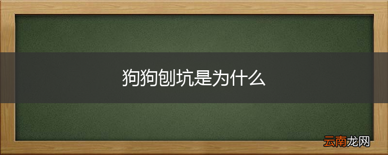 狗狗刨坑是为什么
