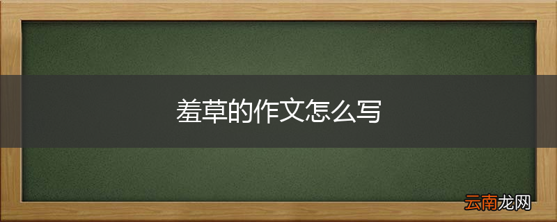 羞草的作文怎么写