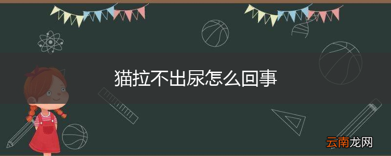 猫拉不出尿怎么回事