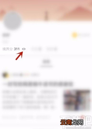 网易蜗牛读书app隐藏个人境界分的方法