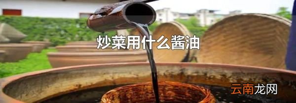 炒菜用什么酱油