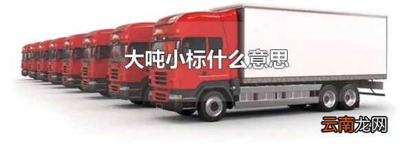 大吨小标什么意思