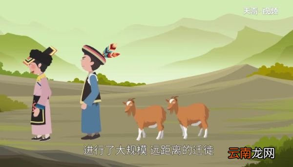 羌族主要分布在我国的什么地区 羌族主要分布在什么省