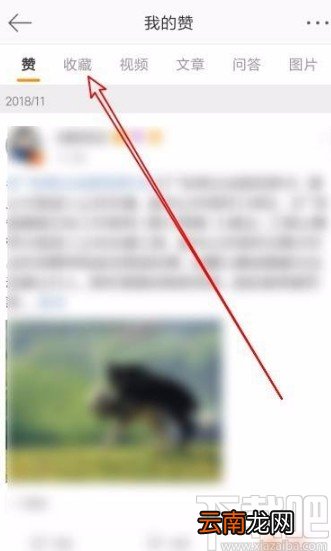 微博app查看收藏内容的方法