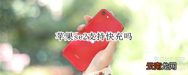 苹果se2支持快充吗