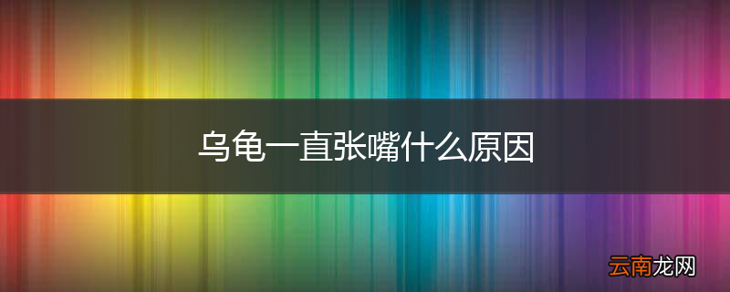 乌龟一直张嘴什么原因