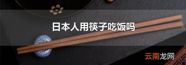 日本人用筷子吃饭吗