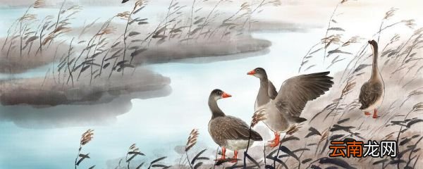白露节气的含义是什么 二十四节气的白露是什么意思