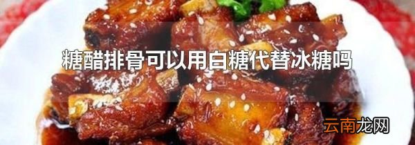 糖醋排骨可以用白糖代替冰糖吗
