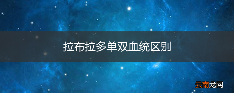 拉布拉多单双血统区别