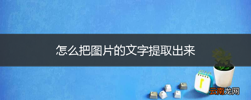 怎么把图片的文字提取出来