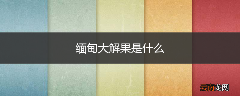 缅甸大解果是什么