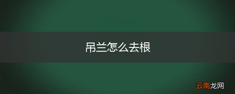 吊兰怎么去根