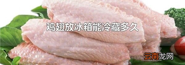 鸡翅放冰箱能冷藏多久