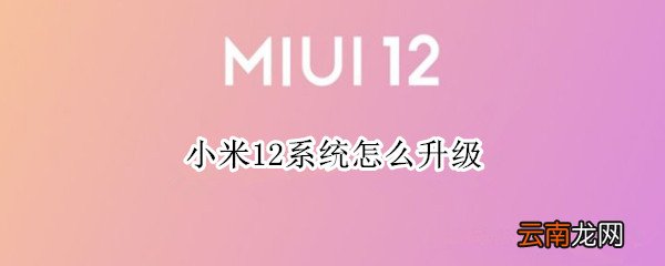 小米12系统怎么升级