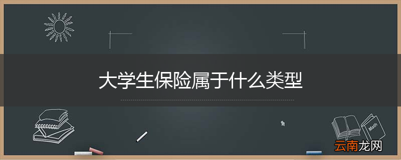 大学生保险属于什么类型