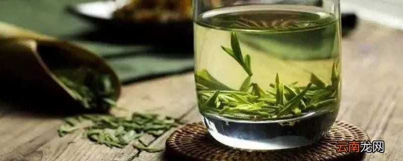 雨花茶属于哪种茶