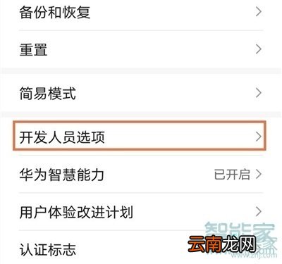 华为p40开发者选项在哪里