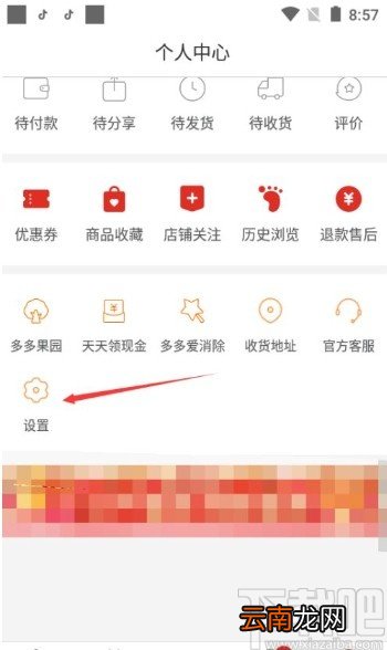 拼多多app启用快递助手服务的方法