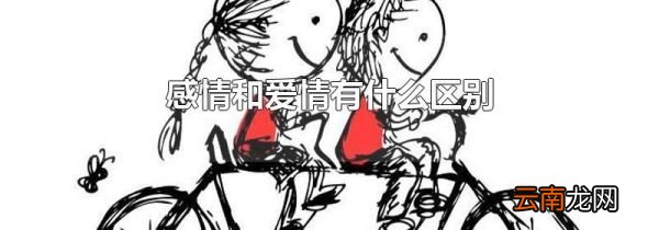 感情和爱情有什么区别