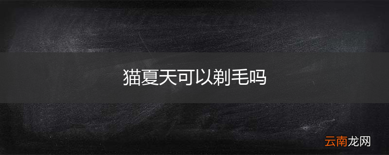 猫夏天可以剃毛吗