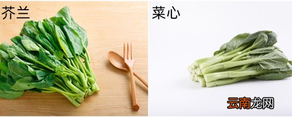 芥兰和菜心的区别 芥兰和菜心是一种菜吗