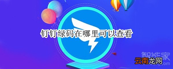 钉钉绿码在哪里可以查看