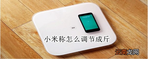 小米称怎么调节成斤