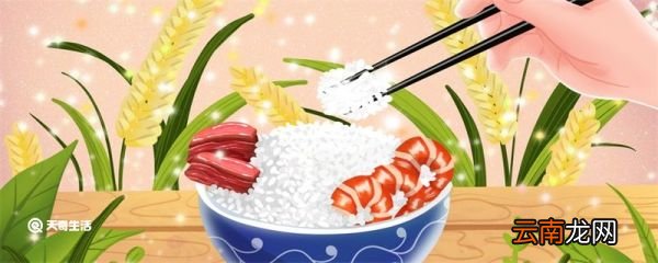 干饭人是什么意思什么梗 干饭人是什么意思